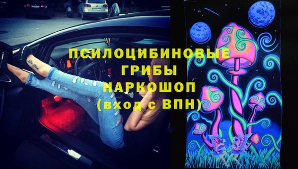 герыч Верхний Тагил