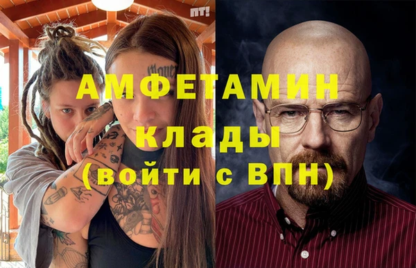 амф Бородино